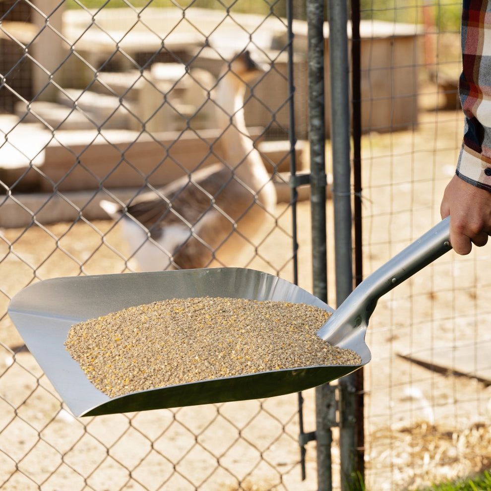 Grain scoop with aluminum blade
