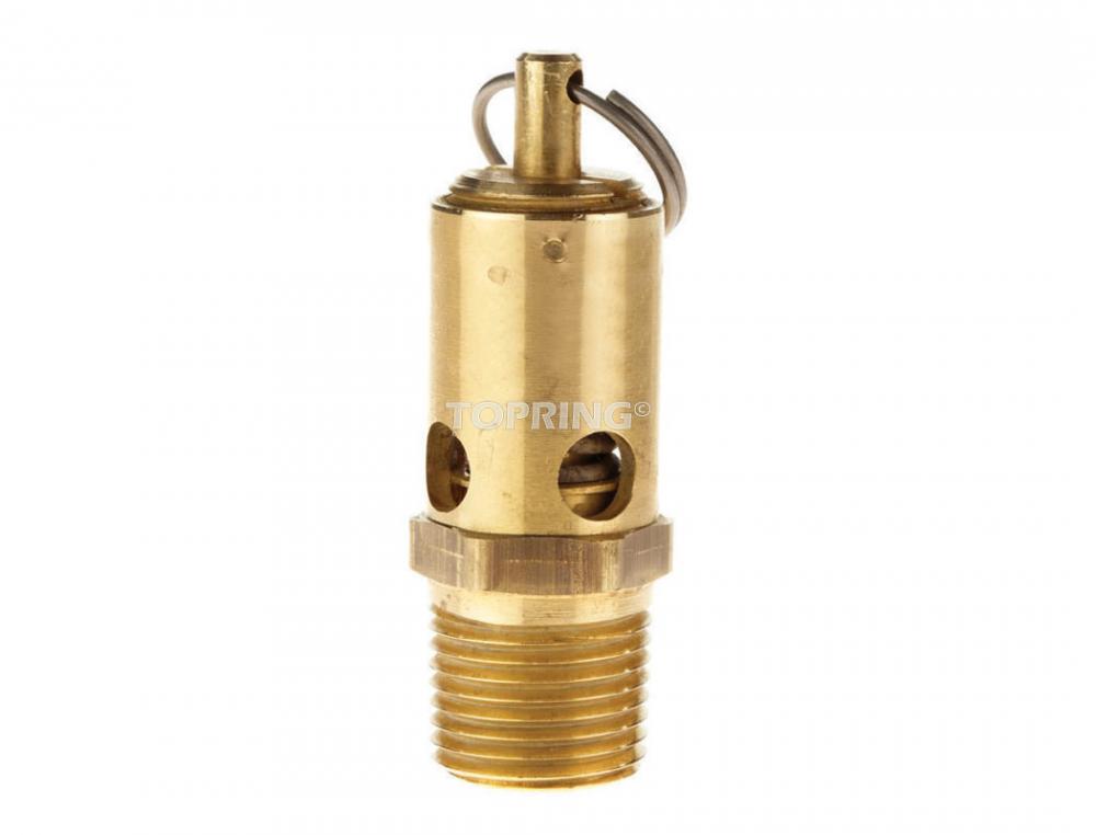 Soupape de sécurité en laiton 200 PSI 1/2 (M) NPT