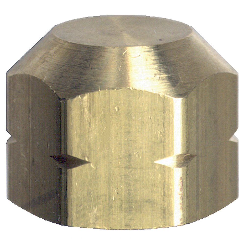 Cap, Brass, 1/4 FPT