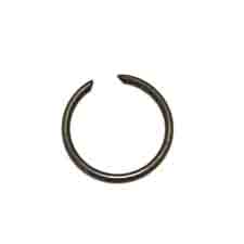 Ring Spring