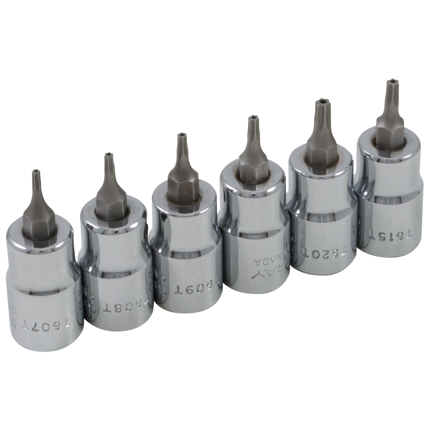 Socket Set - 3/8" Drive Torx Head
