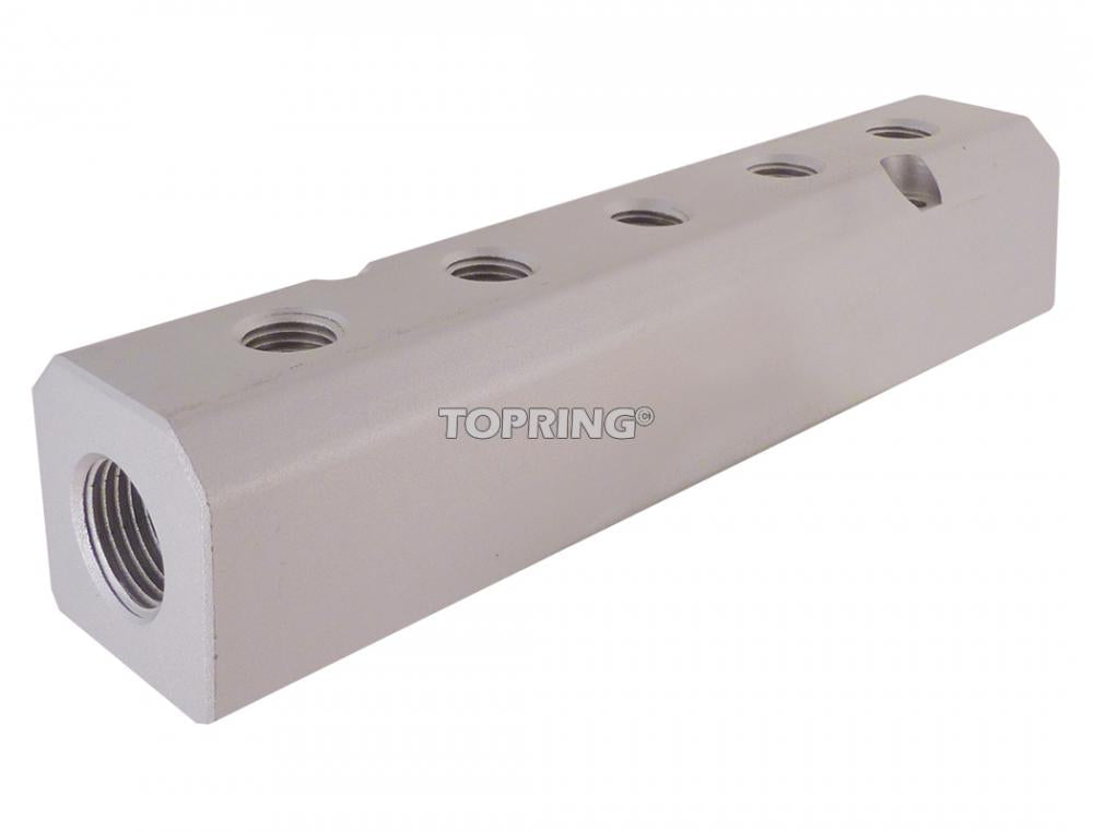 5 Port Aluminum Manifold 1/2 (F) NPT With 1/4 (F) NPT Outlet