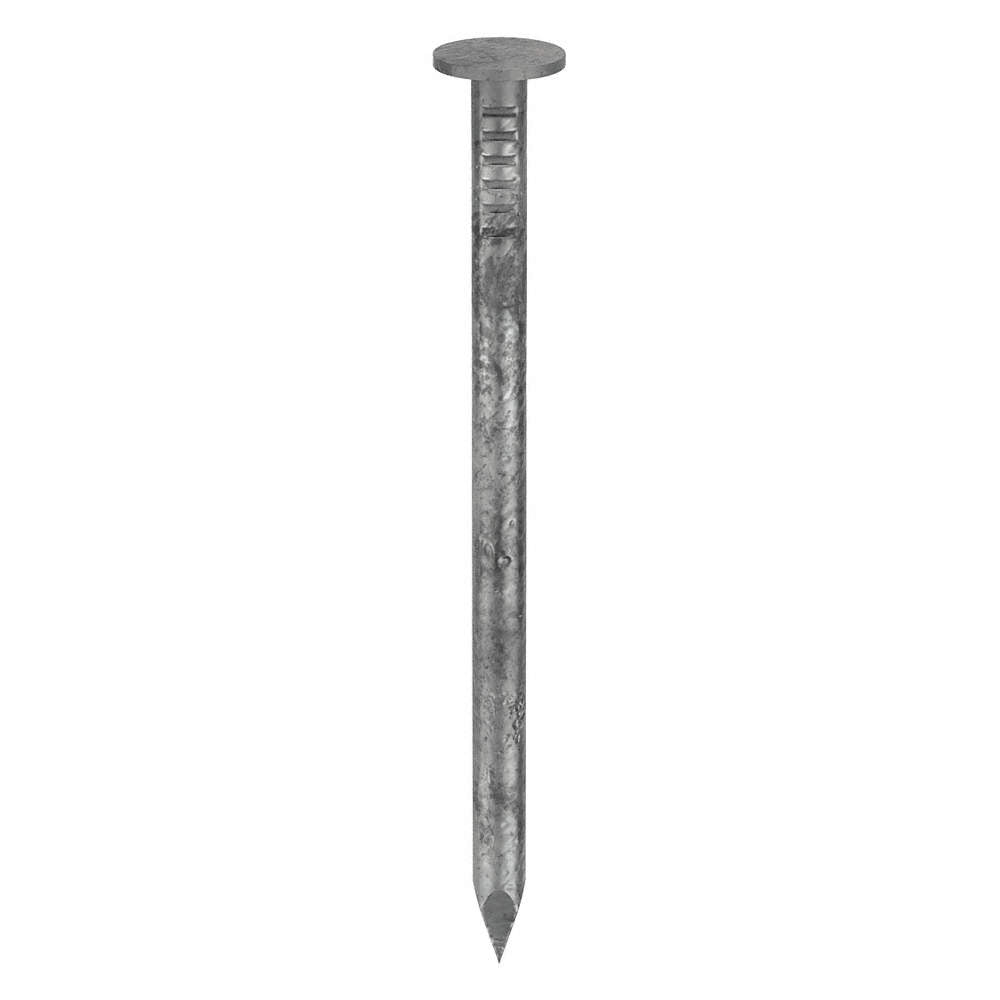 12" Common Nails