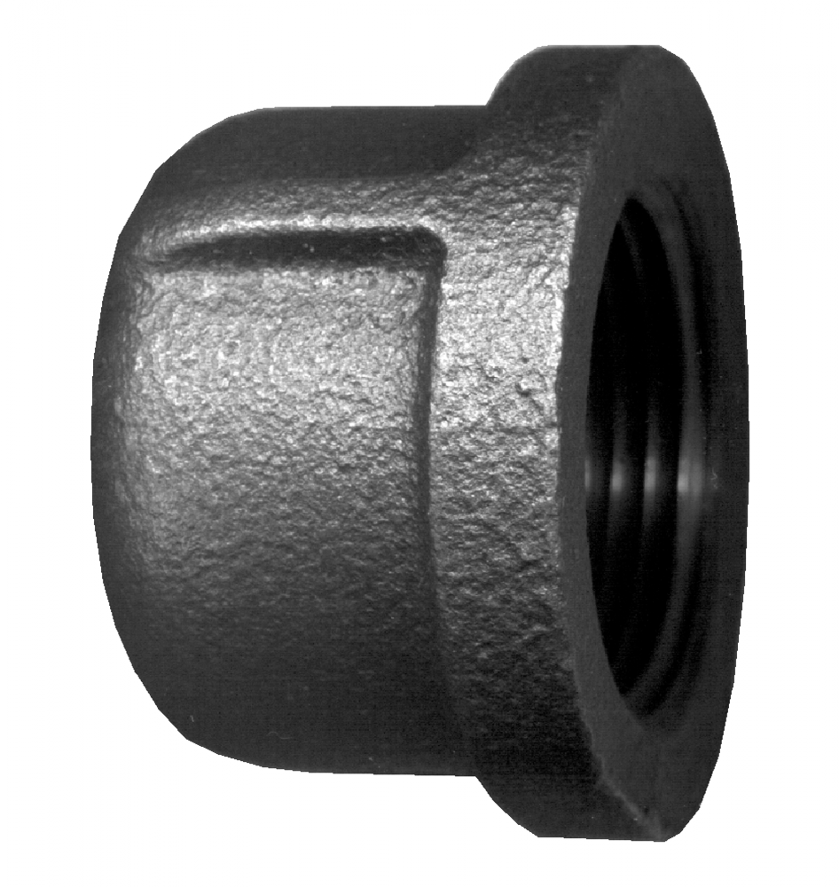 Bouchon, fer, 1/4 FPT