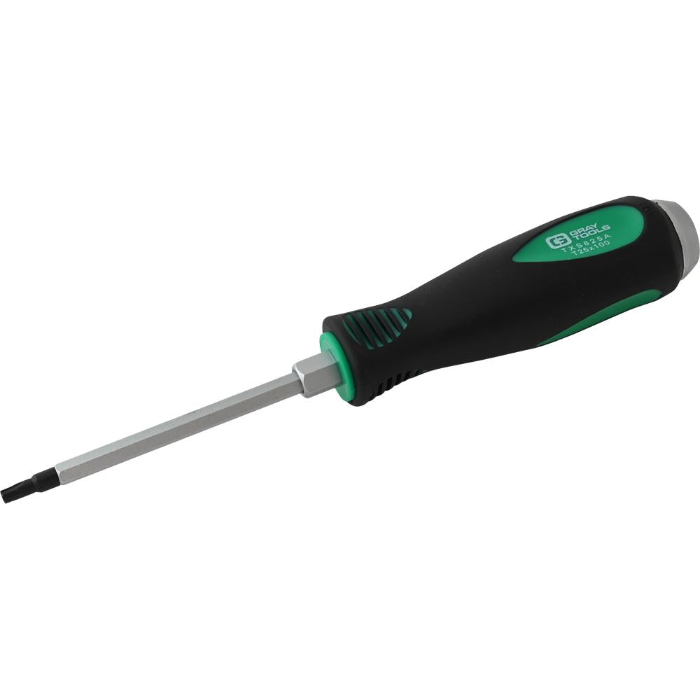 Torx Screwdriver T25