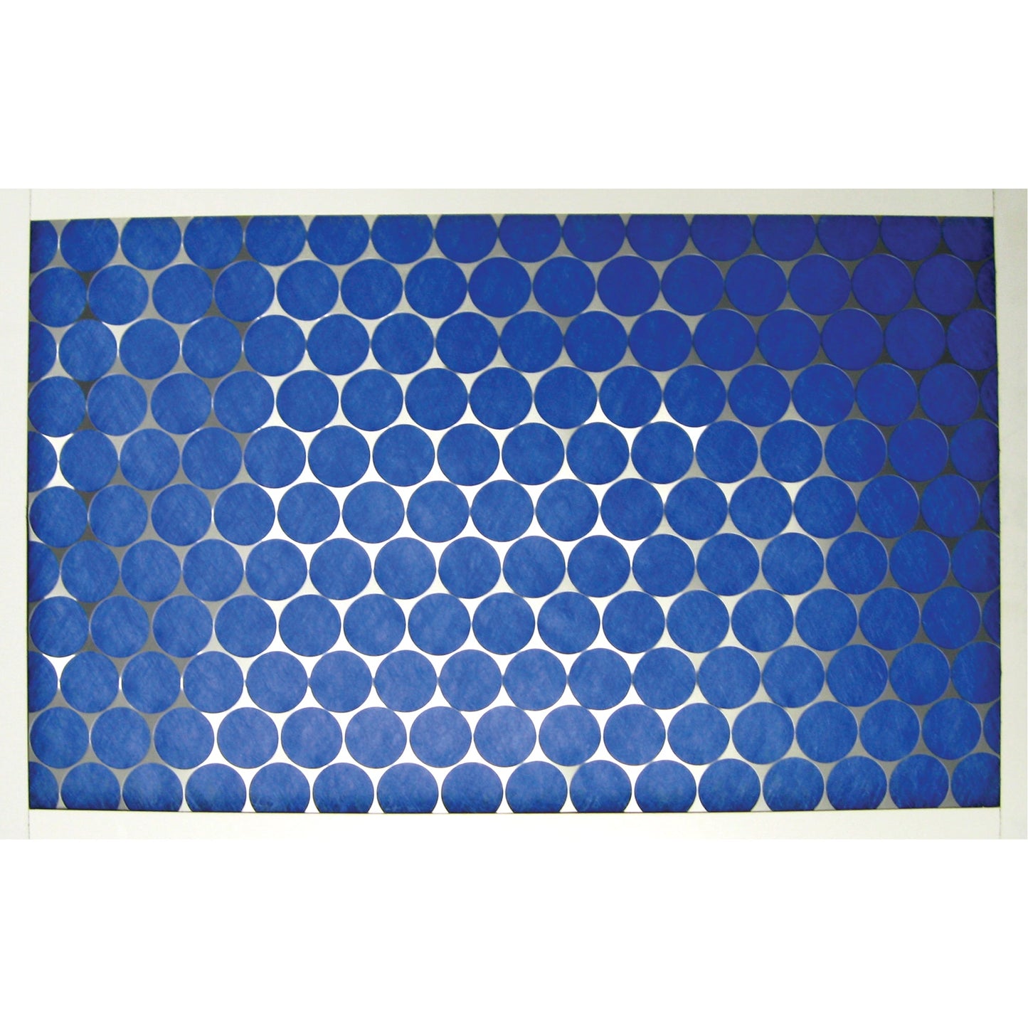 CG Fibreglass Disposable Filters, Box, MERV 4, 12" W x 2" D x 24" H