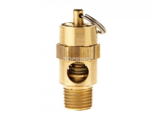 Brass Pressure Relief Valve 1/4 (M) NPT 125 PSI