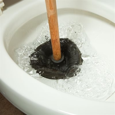 Débouche Toilettes avec Ventouse 5-7/8po, Manche de bois 21po