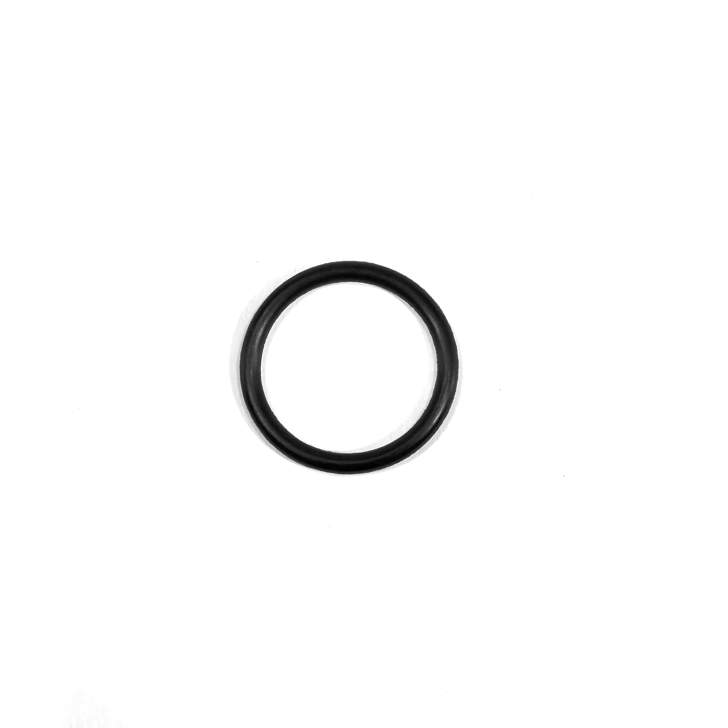 O-Ring, 95018107
