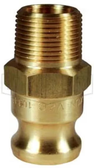 Cam & Groove Type F Adapter x Male NPT