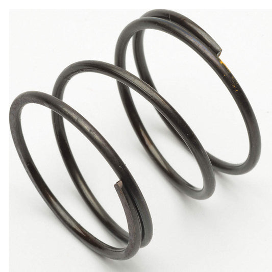 Lever Hoist Brake Spring, L4207-015
