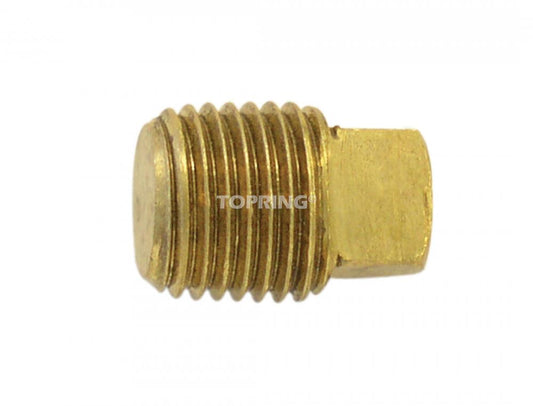 Bouchon à tête carrée en laiton 3/4 (M) NPT