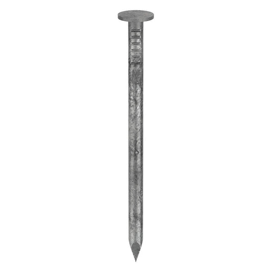12" Common Nails