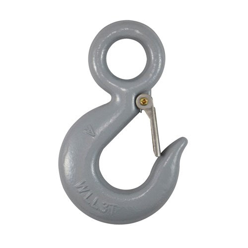 Eye hook with latch 7 T