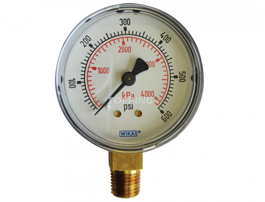 2 1/2 In. Steel Dry Vacuum Gauge 0 to 600 PSI, 1/4 (M) NPT, LM