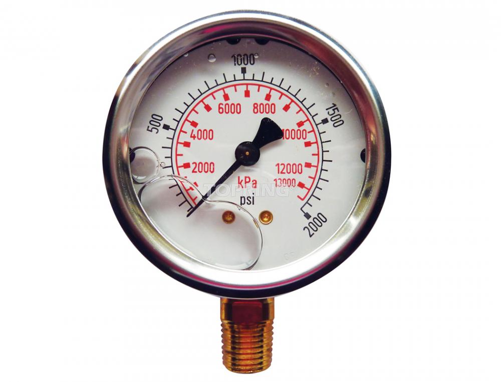 2 1/2 In. Stainless Steel Liquid Filled Pressure Gauge With Glycerin 0 to 2000 PSI, 1/4 (M) NPT, LM