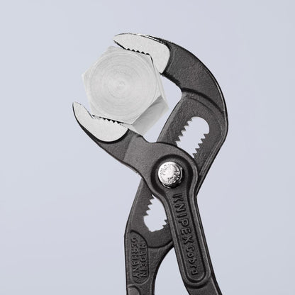 Pinces à pompe à eau Cobra®, 7-1/4po