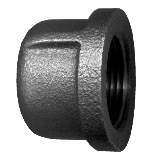 Bouchon, fer, 1/8 FPT