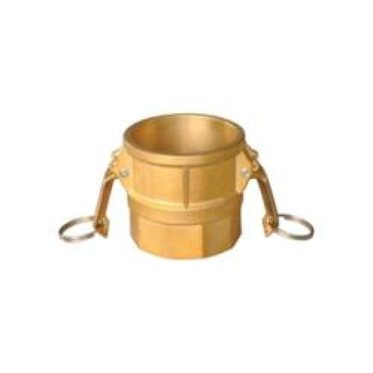 Rainure et came de coupleur 1-1/4" Type D FPT - Laiton