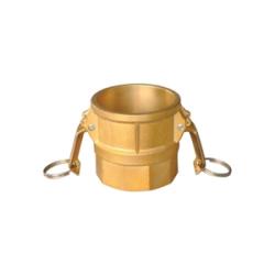 Rainure et came de coupleur 1" Type D FPT - Laiton