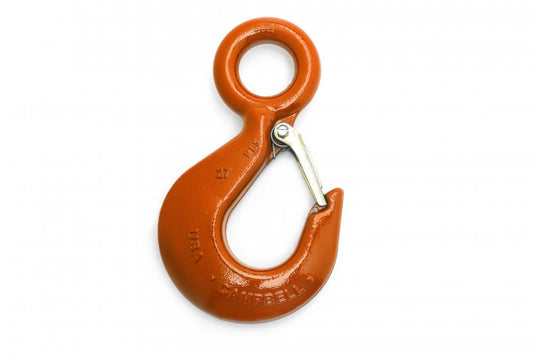 Alloy Eye Hoist Hook With Latch, Pl #31, 11T