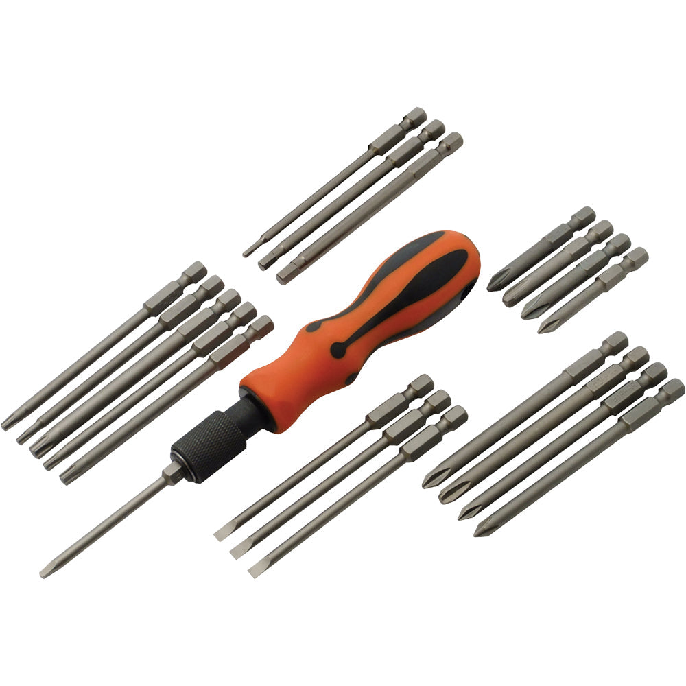 21-Piece Mini Hex Bit Screwdriver Set