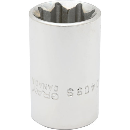 Socket - Double Square, 1/2" Drive, 9/16" Hex, 8-Point