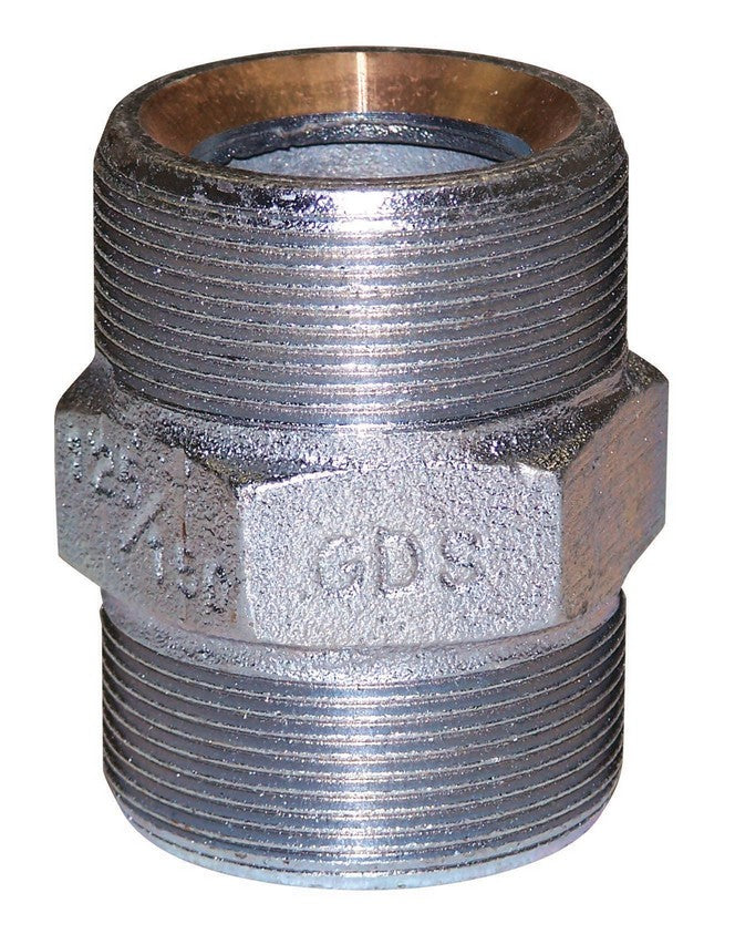 Buchanan Rubber GDS-200-DP double raccord haute pression, 2 po 2 po, fer