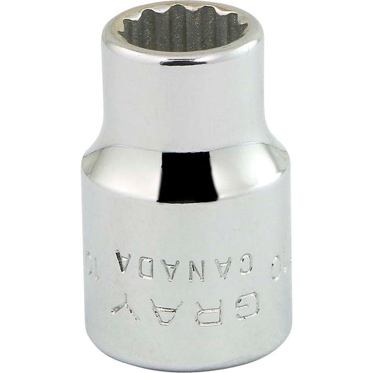 Socket - 3/8" Drive, 10mm Hex, 12-Point