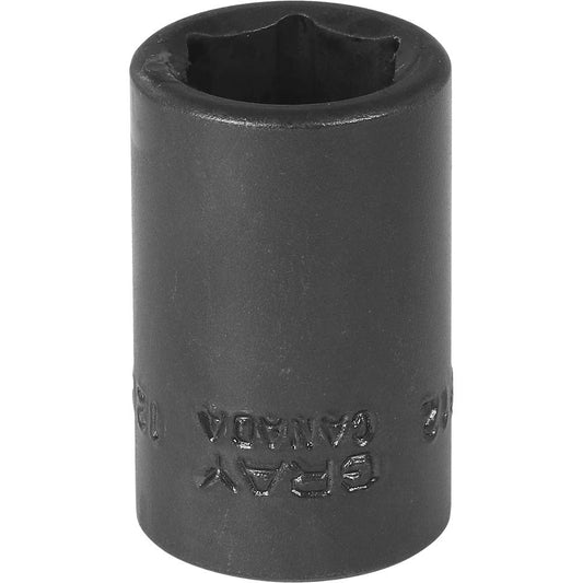 Impact Socket - 3/8" Drive, 12mm, 6-Point