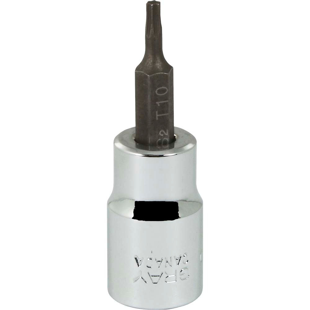 Torx Head Socket - 3/8" Drive T10