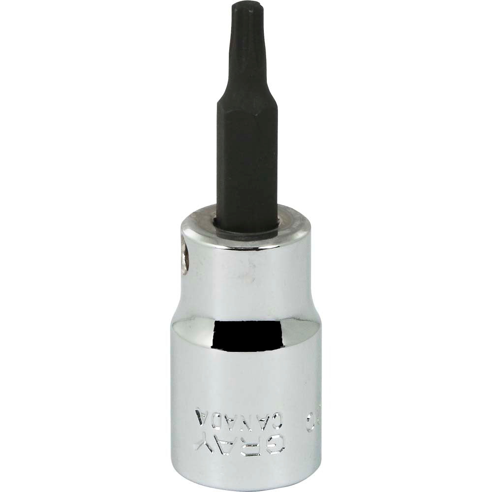 Torx Head Socket - 3/8" Drive T20