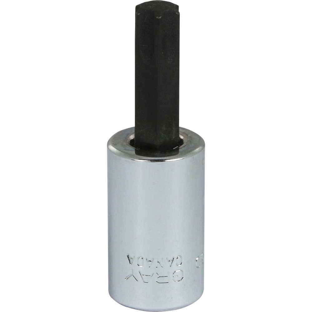 Torx Socket 3/8" Drive Fits T50