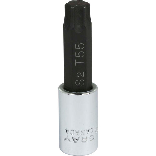 Torx Socket Head 3/8" Drive T55
