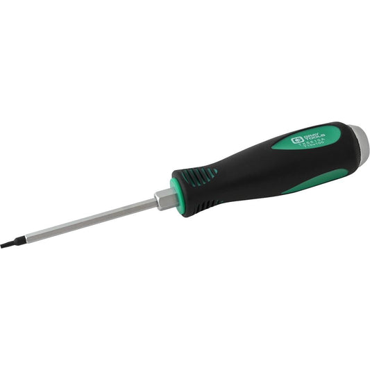 Tournevis Torx T10