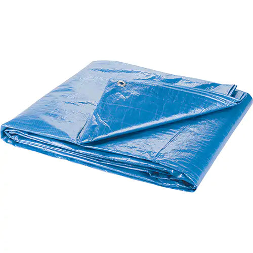 Tarps, Standard Duty, Blue, Polyethylene, 30' x 40' x 4 mils