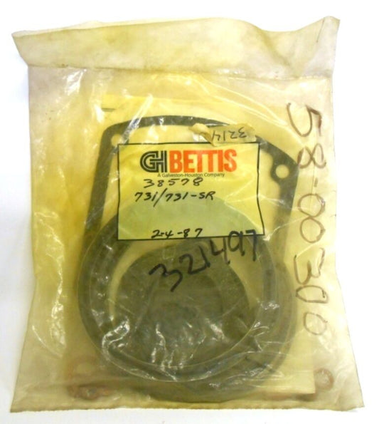 GH BETTIS valve repair kit