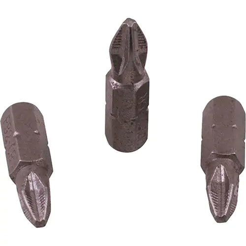 1" Pozidriv Insert Bit - Size PZ2